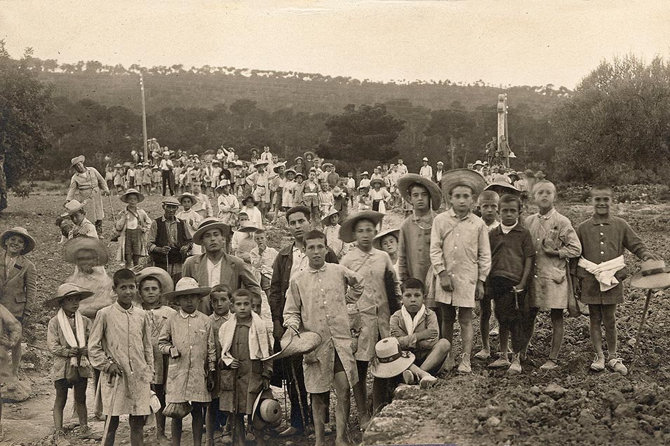 Colonias en el camino de acceso desde la Cartuja al pinar de San Juan.